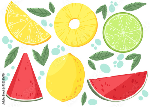 Fototapeta Naklejka Na Ścianę i Meble -  fruit set. Fruit Collection with watermelon, pineapple, lime, lemon in Illustration. hand draw Illustration. Fruit icon.