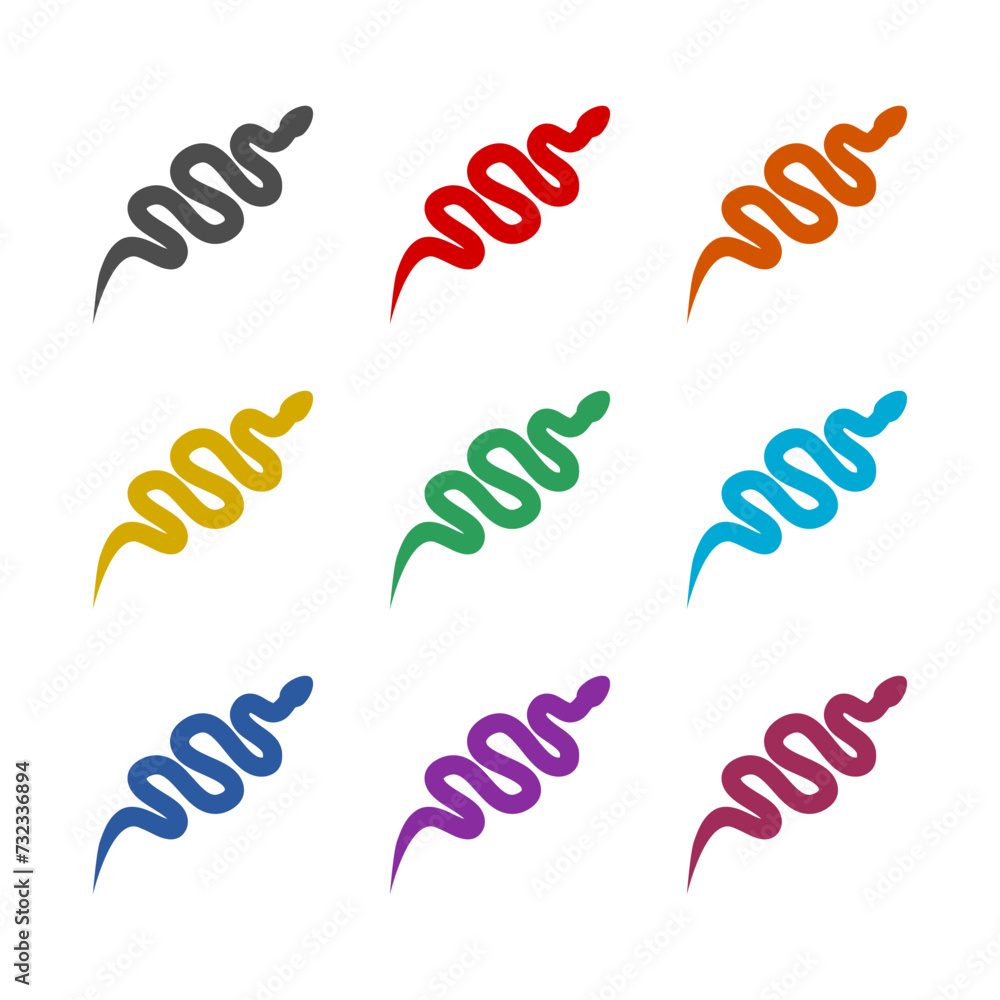Obraz premium Snake icon isolated on white background. Set icons colorful