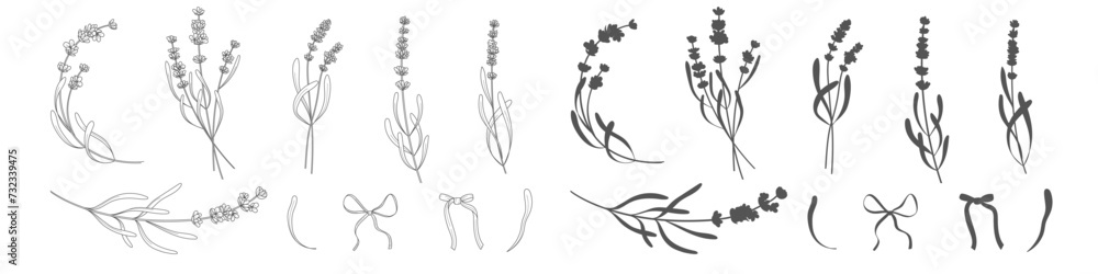 Lavender branches. Hand drawn botanical illustrations in linear style. - obrazy, fototapety, plakaty 