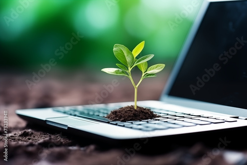 Amidst the keys of a laptop, a plant thrives, underscoring the transformative power of technology in fostering ecological balance. Reflecting the essence of carbon-efficient technology, this portrayal