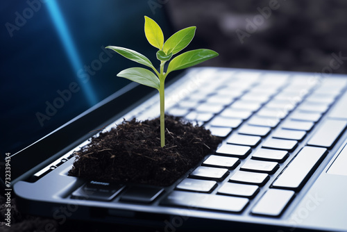 Amidst the keys of a laptop, a plant thrives, underscoring the transformative power of technology in fostering ecological balance. Reflecting the essence of carbon-efficient technology, this portrayal