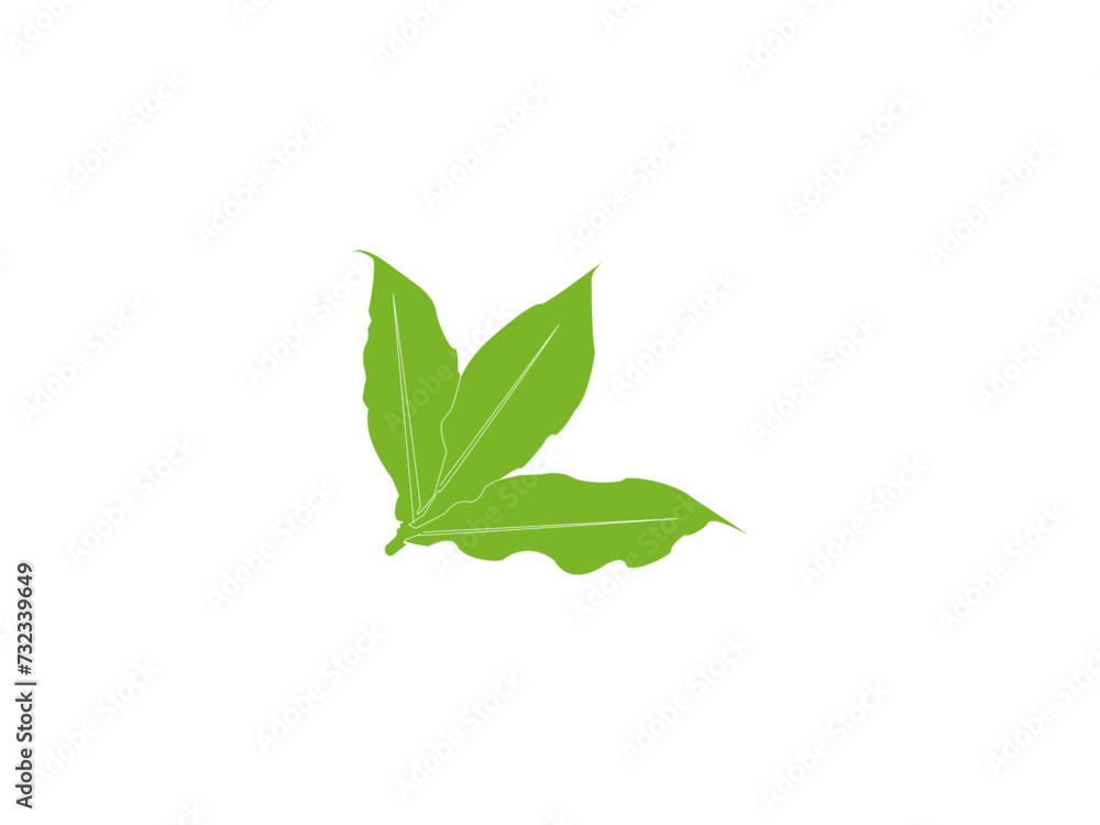 Leaf logo design vector illustration. Leaf logo design vector illustration.