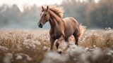 A horse in its splendor, mane flowing in hues of spring sorbet, across the meadow