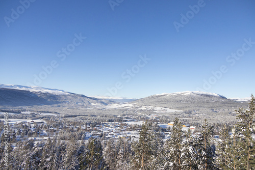 Domås landscape with snow covered trees, Inlandel county,Norway