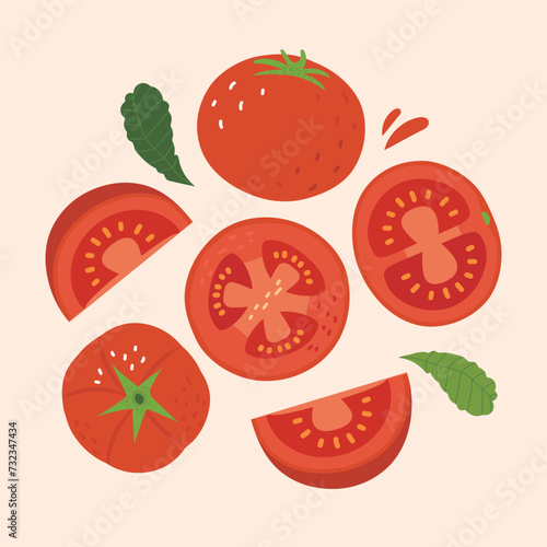 Fototapeta Naklejka Na Ścianę i Meble -  Vector vegetable tomato elements set