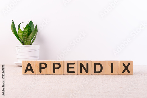 APPENDIX word made with building blocks on a light background photo