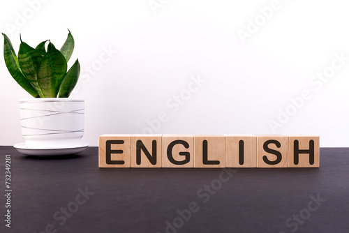 English word concept on wooden blocks on a black table with a green flower on a white background