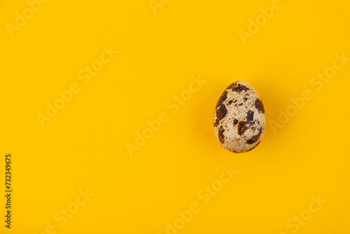 One quail egg on a yellow background photo