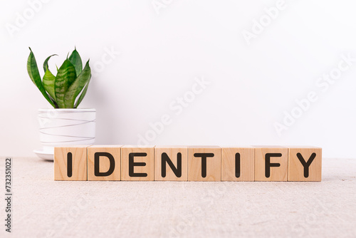 IDENTIFY word made with building blocks on a light background