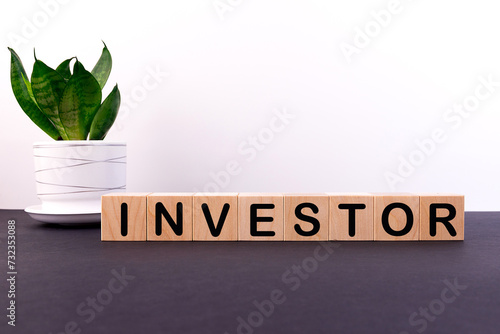 Investor word on wooden cubes. Business concept
