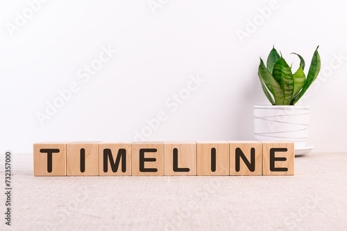 TIMELINE word concept written on wooden cubes on a light table with a flower and a light background photo