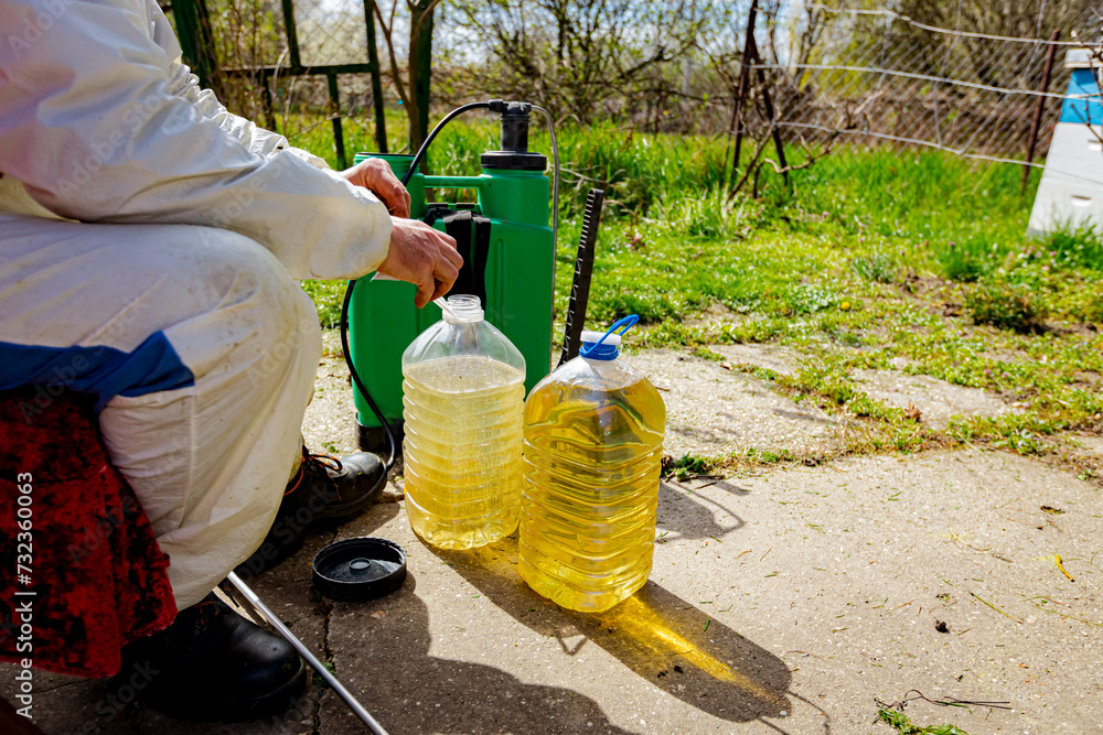 Fototapeta premium Farmer is blending substance with water in proper scale to sprinkles fruit trees