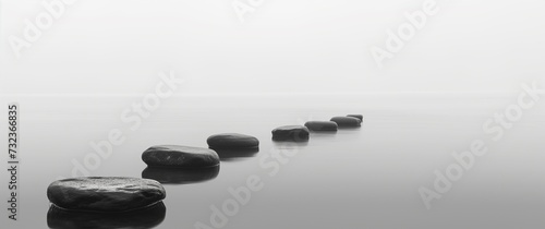 Zen Path of Stepping Stones in Misty Water
