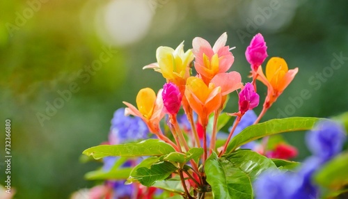 flowers in the garden wallpaper Camera lens close-up with vibrant yellow flowers in bloom