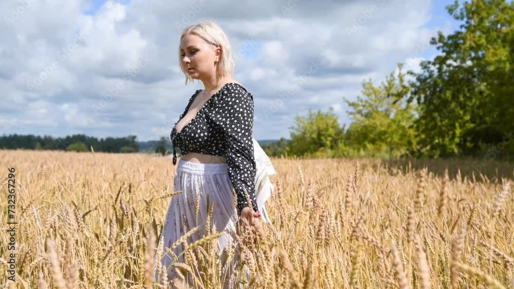 Side view of sexy blond haired plus size caucasian woman in black blouse with cleavage walking on agricultural wheat field in a sunny summer day. Real time video. Food industry theme. Side view of sexy blond haired plus size caucasian woman in black blouse with cleavage walking on agricultural wheat field in a sunny summer day. Real time video. Food industry theme.