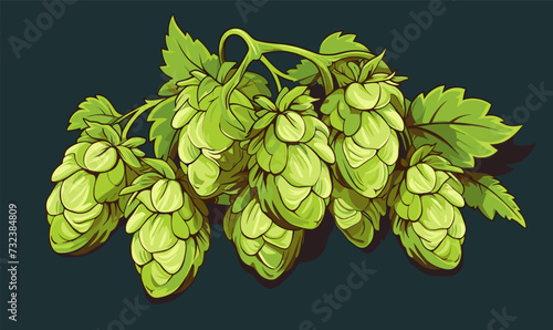 Hops icon vector