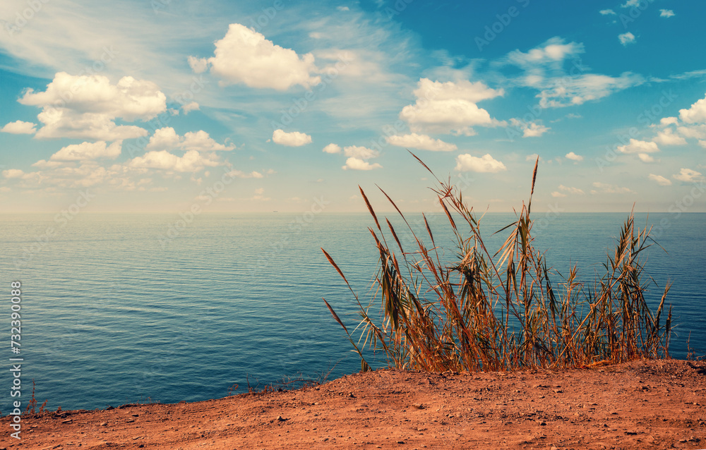 Seascape with dry grass. Minimalist landscape Seascape with dry grass. Minimalist landscape