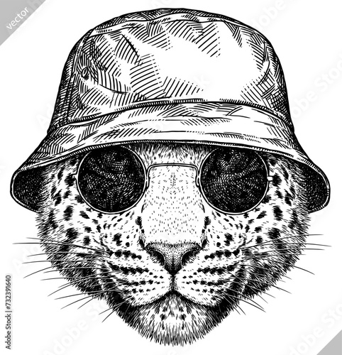 Vintage engraving isolated leopard set glasses dressed fashion panther illustration ink sketch. Africa wild cat cheetah background jaguar animal silhouette sunglasses hipster hat art. Vector image