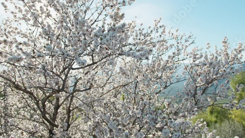 Wallpaper Mural White Landscape In The Middle Of The Tree  Torontodigital.ca