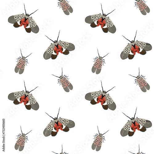 Seamless Pattern Spotted Lantern Fly - fruit fly Lycorma delicatula