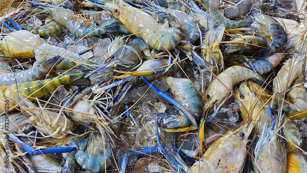 Fresh Giant Prawns on Ice at Seafood Market