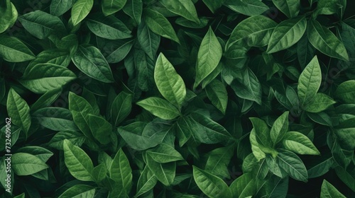 A close up view of a bunch of green leaves. This image can be used to depict nature, environmental themes, or simply as a background image © Fotograf