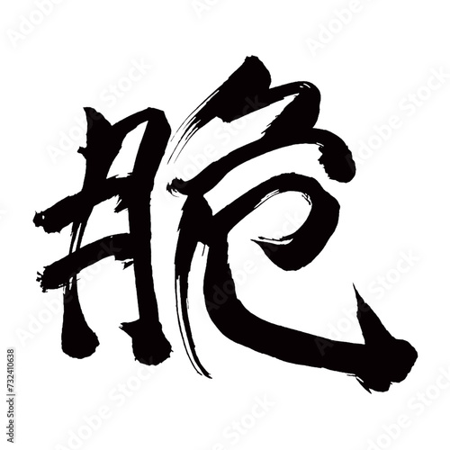Japan calligraphy art【fragile・취성】日本の書道アート【脆い・もろい・よわい・やわらかい・かるい・ゼイ・セイ】／This is Japanese kanji 日本の漢字です／illustrator vector イラストレーターベクター