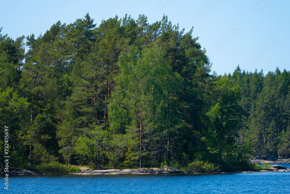 Trees on a small island in a lake.