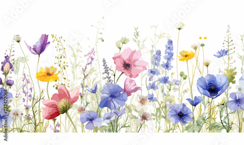 Watercolor floral seamless border вЂ“ Wildflowers: summer flower, blossom, poppies, chamomile, dandelions, cornflowers, lavender, violet, bluebell, clover, buttercup, butterfly. photo
