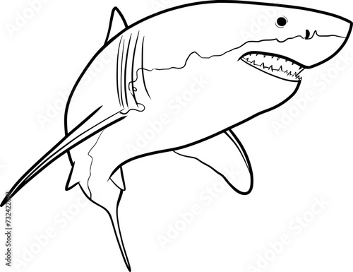 Shark ouline illustration on transparent background