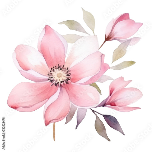 pink Flower watercolor illustration.Manual composition watercolor elements. on white background