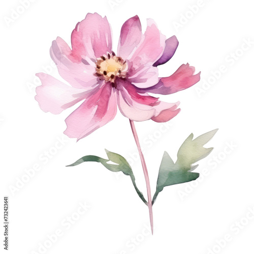 pink Flower watercolor illustration.Manual composition watercolor elements. on white background