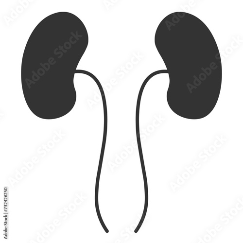 Kidney icon. Anatomy human organ sign background symbol vector ilustration.