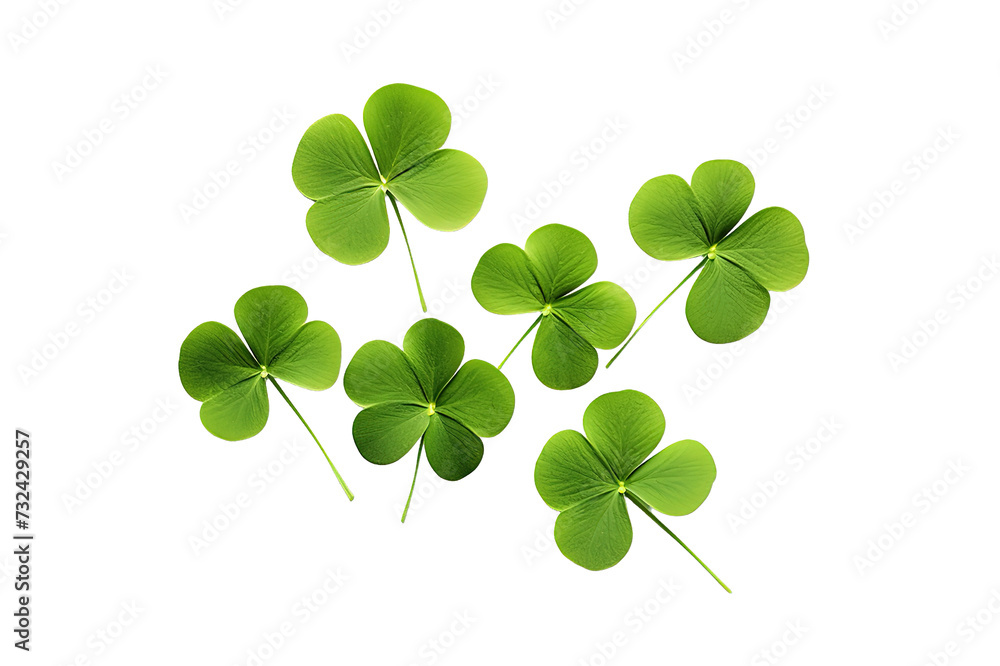 Shamrocks clover leaves St. Patrick's Day celebrating, Set clover shamrock and green clover leaf quatrefoil lucky, isolated on a Transparent background. Generative AI Shamrocks clover leaves St. Patrick's Day celebrating, Set clover shamrock and green clover leaf quatrefoil lucky, isolated on a Transparent background. Generative AI