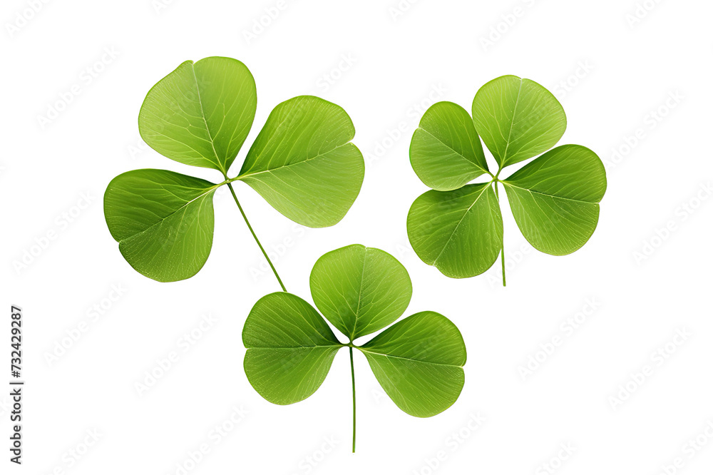 Shamrocks clover leaves St. Patrick's Day celebrating, Set clover shamrock and green clover leaf quatrefoil lucky, isolated on a Transparent background. Generative AI Shamrocks clover leaves St. Patrick's Day celebrating, Set clover shamrock and green clover leaf quatrefoil lucky, isolated on a Transparent background. Generative AI