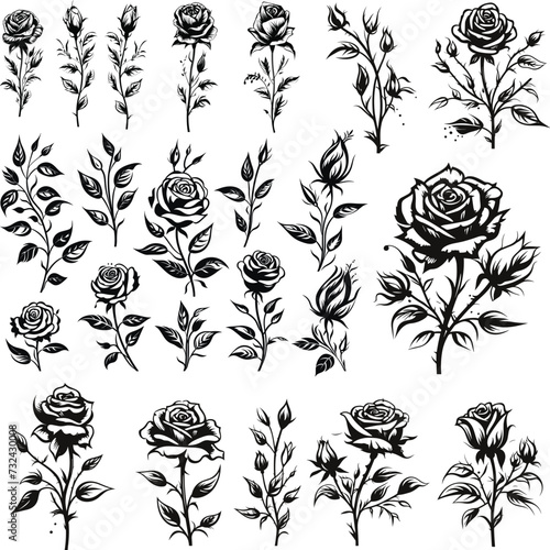 set of black and white rose leaf botanical element illustration isolated floral flower nature vector drawing set vintage bud decoration beautiful blossom
