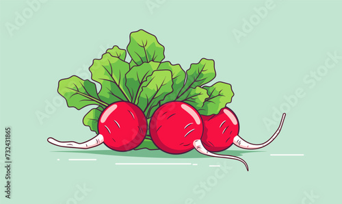 Radish vector flat minimalistic asset isolated vector style illustration