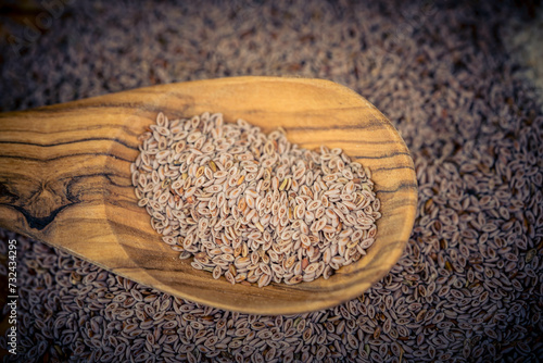 Flohsamen und Flohsamenschalen auf Olivenholz