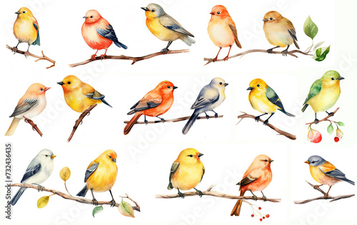 watercolor painting style illustration of bird perched on tree branch isolated on white background collection set, Generative Ai photo