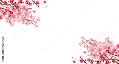 Pink Cherry Blossom flowers border, Pink Sakura Flowers background, illustration with floral Pattern and Heart Decoration