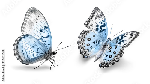 Two light blue butterflies isolated on a white background.