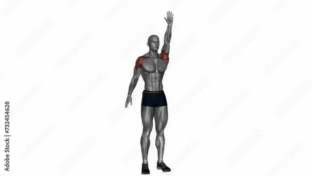 3D rendered animation of a model doing exercises and stretches on the empty white background 3D rendered animation of a model doing exercises and stretches on the empty white background