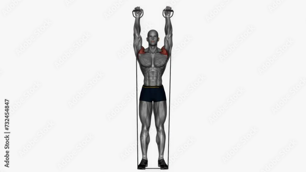 3d rendered animation of shoulders exercise example on a white background 3d rendered animation of shoulders exercise example on a white background