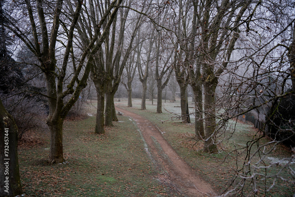 Route dans un parc en hiver