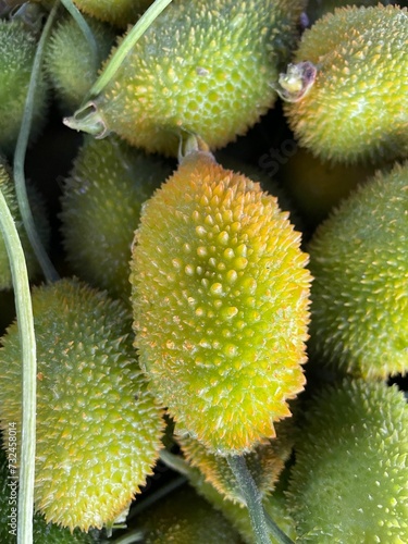 Фотография Vertical closeup of spiny gourds on a stack