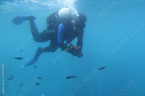 Wallpaper Mural Scuba diver swimming in the crystal-clear blue ocean, equipped with an oxygen tank Torontodigital.ca