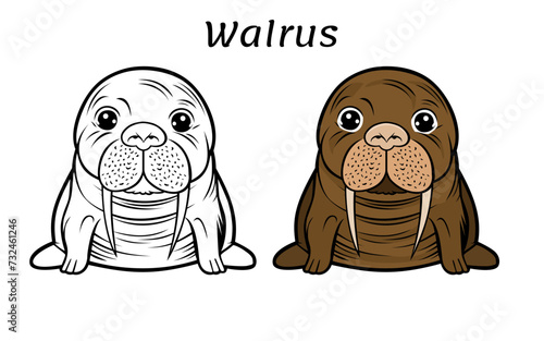 Vector of a brown cartoon walrus with a grayscale sketch