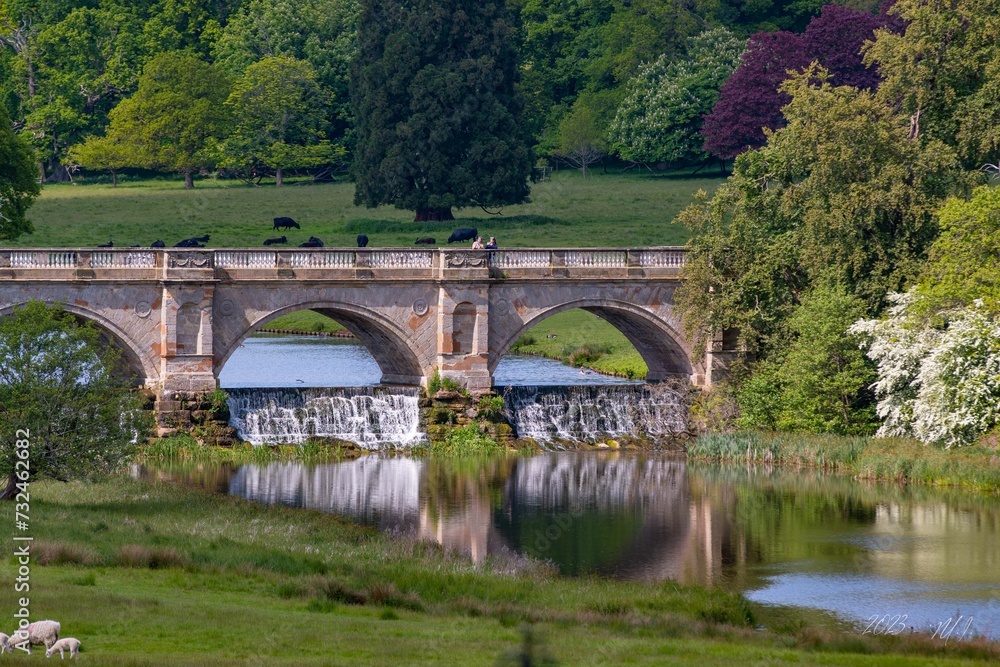 Fototapeta premium Scenic view of a bridge over a river surrounded by lush green grass in a rural landscape