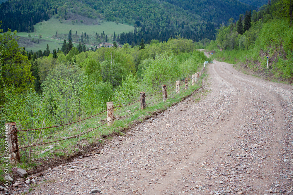 Obraz premium Lush woodland trail bordered by wooden barrier and foliage