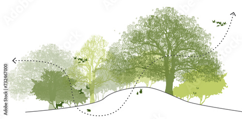 Biodiversity diagram